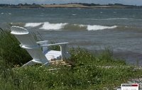 Stress af i Kerteminde natur
