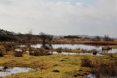 Bogensø Strand